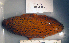  ( - OGL-E01751)  @11 [ ] No Rights Reserved (2009) Unspecified Coastal Marine Biolabs