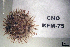  ( - OGL-E01683)  @11 [ ] No Rights Reserved (2009) Unspecified Coastal Marine Biolabs