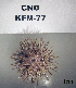  ( - OGL-E01685)  @11 [ ] No Rights Reserved (2009) Unspecified Coastal Marine Biolabs