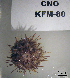  ( - OGL-E01688)  @11 [ ] No Rights Reserved (2009) Unspecified Coastal Marine Biolabs