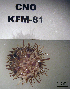  ( - OGL-E01689)  @11 [ ] No Rights Reserved (2009) Unspecified Coastal Marine Biolabs