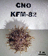  ( - OGL-E01690)  @11 [ ] No Rights Reserved (2009) Unspecified Coastal Marine Biolabs