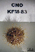  ( - OGL-E01691)  @11 [ ] No Rights Reserved (2009) Unspecified Coastal Marine Biolabs
