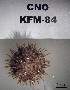  ( - OGL-E01692)  @11 [ ] No Rights Reserved (2009) Unspecified Coastal Marine Biolabs