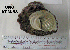  ( - OGL-E01580)  @11 [ ] No Rights Reserved (2009) Unspecified Coastal Marine Biolabs