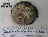  ( - OGL-E01581)  @11 [ ] No Rights Reserved (2009) Unspecified Coastal Marine Biolabs