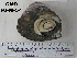  ( - OGL-E01581)  @11 [ ] No Rights Reserved (2009) Unspecified Coastal Marine Biolabs