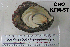  ( - OGL-E01584)  @11 [ ] No Rights Reserved (2009) Unspecified Coastal Marine Biolabs