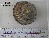  ( - OGL-E01585)  @11 [ ] No Rights Reserved (2009) Unspecified Coastal Marine Biolabs