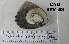  ( - OGL-E01585)  @11 [ ] No Rights Reserved (2009) Unspecified Coastal Marine Biolabs