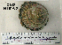 ( - OGL-E01587)  @11 [ ] No Rights Reserved (2009) Unspecified Coastal Marine Biolabs