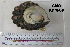  ( - OGL-E01587)  @11 [ ] No Rights Reserved (2009) Unspecified Coastal Marine Biolabs