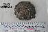  ( - OGL-E01588)  @11 [ ] No Rights Reserved (2009) Unspecified Coastal Marine Biolabs