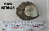  ( - OGL-E01588)  @11 [ ] No Rights Reserved (2009) Unspecified Coastal Marine Biolabs