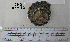  ( - OGL-E01589)  @11 [ ] No Rights Reserved (2009) Unspecified Coastal Marine Biolabs
