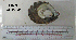  ( - OGL-E01589)  @11 [ ] No Rights Reserved (2009) Unspecified Coastal Marine Biolabs