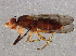  ( - BIOUG04436-G12)  @13 [ ] CreativeCommons - Attribution (2014) CBG Photography Group Centre for Biodiversity Genomics