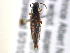  ( - BIOUG04492-G04)  @12 [ ] CreativeCommons - Attribution (2013) CBG Photography Group Centre for Biodiversity Genomics