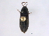  ( - BIOUG04492-G06)  @13 [ ] CreativeCommons - Attribution (2014) CBG Photography Group Centre for Biodiversity Genomics