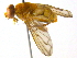  ( - BIOUG04570-D11)  @13 [ ] CreativeCommons - Attribution (2013) CBG Photography Group Centre for Biodiversity Genomics