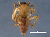  ( - BIOUG03760-D12)  @13 [ ] CreativeCommons - Attribution (2014) CBG Photography Group Centre for Biodiversity Genomics
