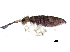  ( - BIOUG04503-H07)  @14 [ ] CreativeCommons - Attribution (2013) CBG Photography Group Centre for Biodiversity Genomics