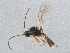  ( - BIOUG10213-H01)  @13 [ ] CreativeCommons - Attribution (2014) CBG Photography Group Centre for Biodiversity Genomics