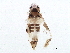  ( - BIOUG10214-H02)  @13 [ ] CreativeCommons - Attribution (2014) CBG Photography Group Centre for Biodiversity Genomics