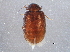  ( - BIOUG10853-D07)  @14 [ ] CreativeCommons - Attribution (2014) CBG Photography Group Centre for Biodiversity Genomics