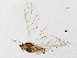  ( - BIOUG10563-B03)  @13 [ ] CreativeCommons - Attribution (2014) CBG Photography Group Centre for Biodiversity Genomics