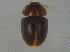  ( - BIOUG02856-F05)  @13 [ ] CreativeCommons - Attribution (2012) CBG Photography Group Centre for Biodiversity Genomics