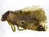  ( - BIOUG02915-E03)  @12 [ ] CreativeCommons - Attribution (2012) CBG Photography Group Centre for Biodiversity Genomics