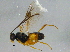  ( - BIOUG02935-C02)  @13 [ ] CreativeCommons - Attribution (2012) CBG Photography Group Centre for Biodiversity Genomics