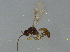  ( - BIOUG02935-C06)  @12 [ ] CreativeCommons - Attribution (2012) CBG Photography Group Centre for Biodiversity Genomics
