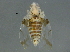  ( - BIOUG02944-F06)  @13 [ ] CreativeCommons - Attribution (2012) CBG Photography Group Centre for Biodiversity Genomics