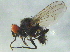  ( - BIOUG02959-H03)  @13 [ ] CreativeCommons - Attribution (2012) CBG Photography Group Centre for Biodiversity Genomics