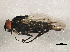  ( - BIOUG02960-D08)  @12 [ ] CreativeCommons - Attribution (2013) CBG Photography Group Centre for Biodiversity Genomics