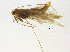  ( - BIOUG02962-C03)  @12 [ ] CreativeCommons - Attribution (2012) CBG Photography Group Centre for Biodiversity Genomics