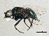  ( - BIOUG02965-F02)  @14 [ ] CreativeCommons - Attribution (2013) CBG Photography Group Centre for Biodiversity Genomics