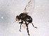  ( - BIOUG02981-C08)  @13 [ ] CreativeCommons - Attribution (2014) CBG Photography Group Centre for Biodiversity Genomics