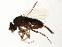  ( - BIOUG02936-C10)  @14 [ ] CreativeCommons - Attribution (2013) CBG Photography Group Centre for Biodiversity Genomics
