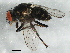 ( - BIOUG02954-G06)  @13 [ ] CreativeCommons - Attribution (2013) CBG Photography Group Centre for Biodiversity Genomics
