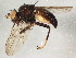  ( - BIOUG02992-E12)  @13 [ ] CreativeCommons - Attribution (2013) CBG Photography Group Centre for Biodiversity Genomics