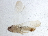  ( - BIOUG03000-F07)  @13 [ ] CreativeCommons - Attribution (2013) CBG Photography Group Centre for Biodiversity Genomics