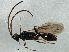  ( - BIOUG03031-B03)  @13 [ ] CreativeCommons - Attribution (2013) CBG Photography Group Centre for Biodiversity Genomics