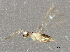  ( - BIOUG03031-E07)  @12 [ ] CreativeCommons - Attribution (2013) CBG Photography Group Centre for Biodiversity Genomics