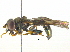  ( - BIOUG03033-B03)  @14 [ ] CreativeCommons - Attribution (2012) CBG Photography Group Centre for Biodiversity Genomics