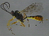  ( - BIOUG03036-D06)  @13 [ ] CreativeCommons - Attribution (2012) CBG Photography Group Centre for Biodiversity Genomics