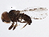  ( - BIOUG03039-C06)  @13 [ ] CreativeCommons - Attribution (2013) CBG Photography Group Centre for Biodiversity Genomics