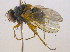  ( - BIOUG03217-B12)  @12 [ ] CreativeCommons - Attribution (2013) CBG Photography Group Centre for Biodiversity Genomics